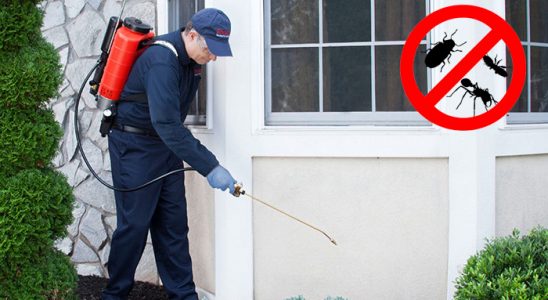 Çamlıdere Böcek İlaçlama böcek ilaçlama ve haşere kontrolü — ilaclama-tr.com